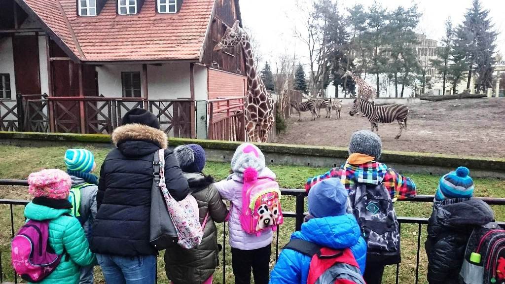 zimowa-zadymka-2018-w-dwojce-foto-73285