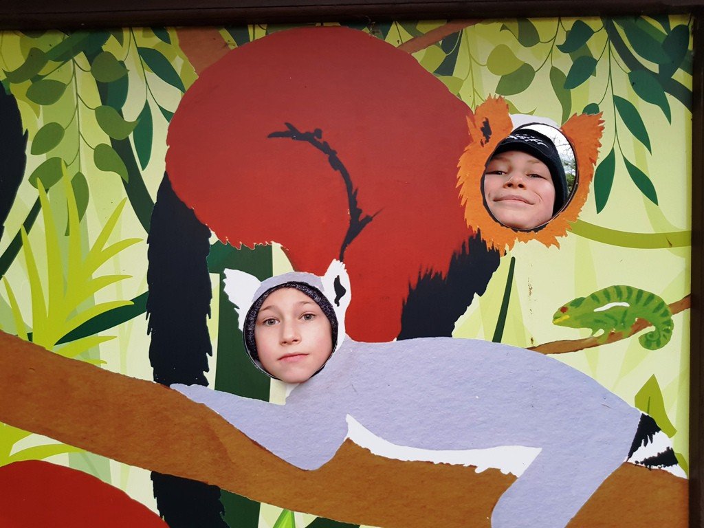 zimowa-zadymka-2018-w-dwojce-foto-73285