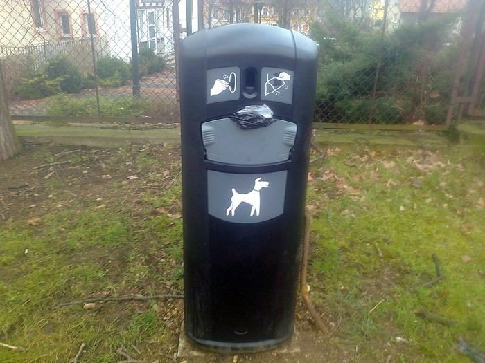 czytelniczka-psi-problem-w-parku-przy-ul-morcinka-foto-73292