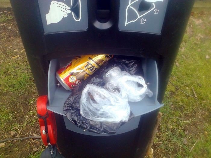 czytelniczka-psi-problem-w-parku-przy-ul-morcinka-foto-73292