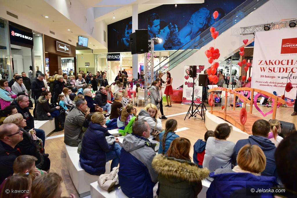 radosne-walentynki-w-galerii-sudeckiej-foto-73480