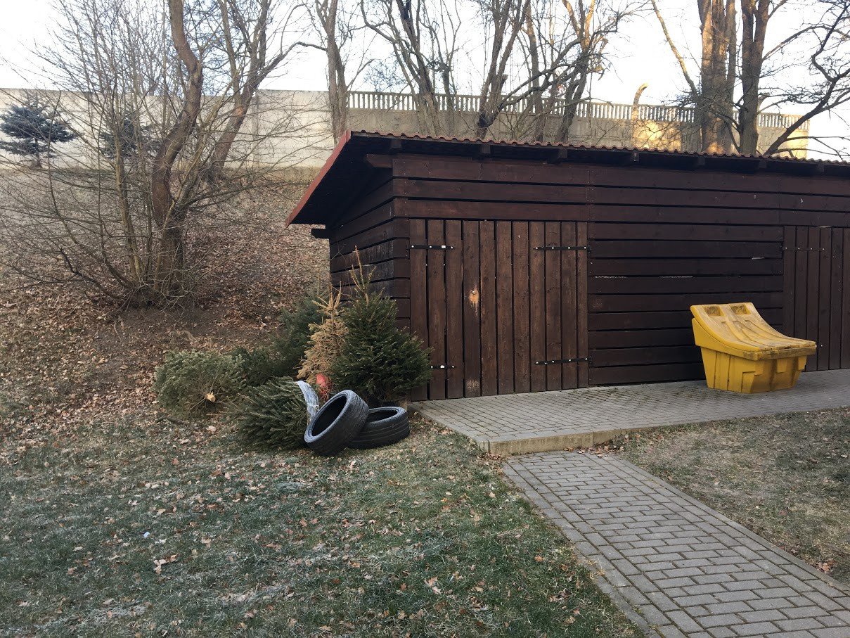 zapomnieli-wywiezc-swiateczne-choinki-foto-73664