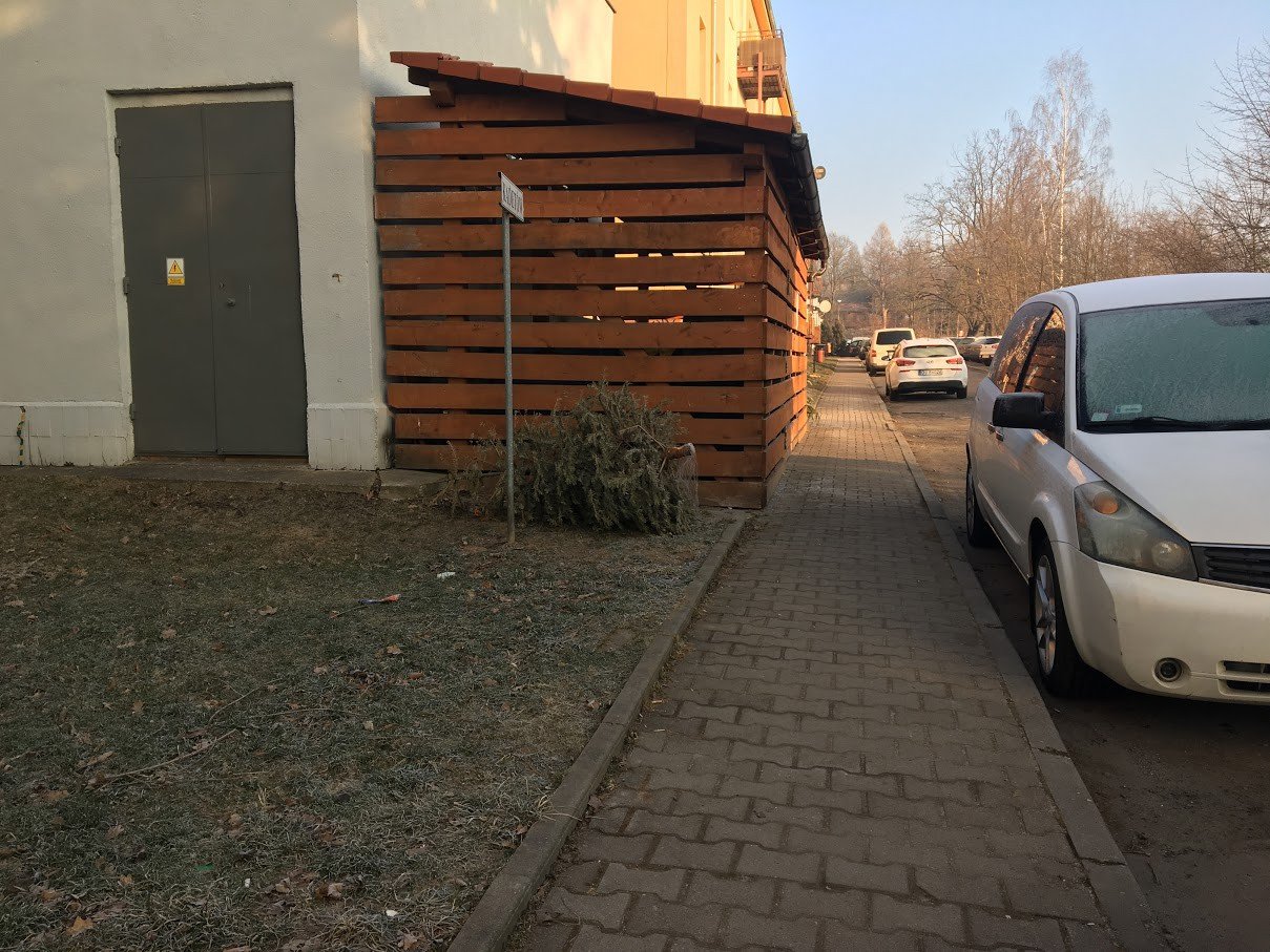 zapomnieli-wywiezc-swiateczne-choinki-foto-73664