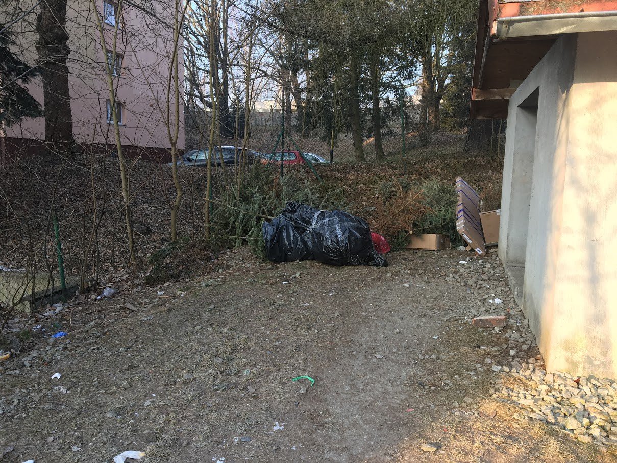 zapomnieli-wywiezc-swiateczne-choinki-foto-73664