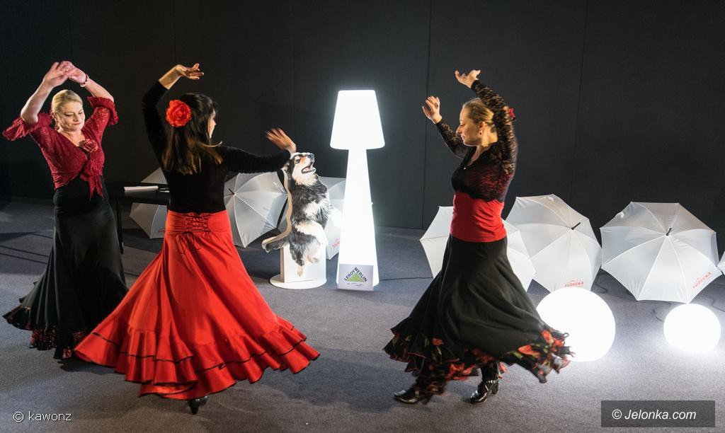 w-kinie-kobiet-flamenco-i-duzo-zabawy-foto-73671