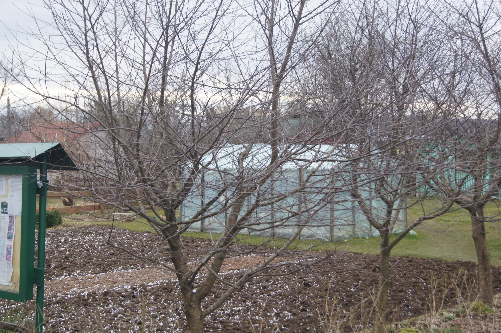 zielone-puca-jeleniej-gory-foto-73709