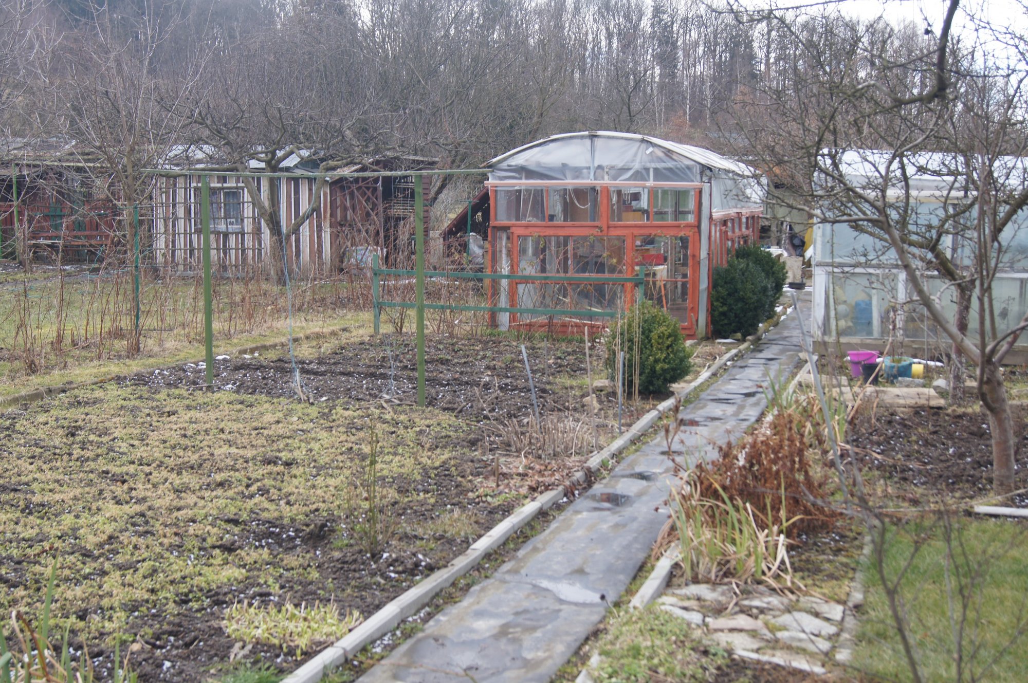 zielone-puca-jeleniej-gory-foto-73709
