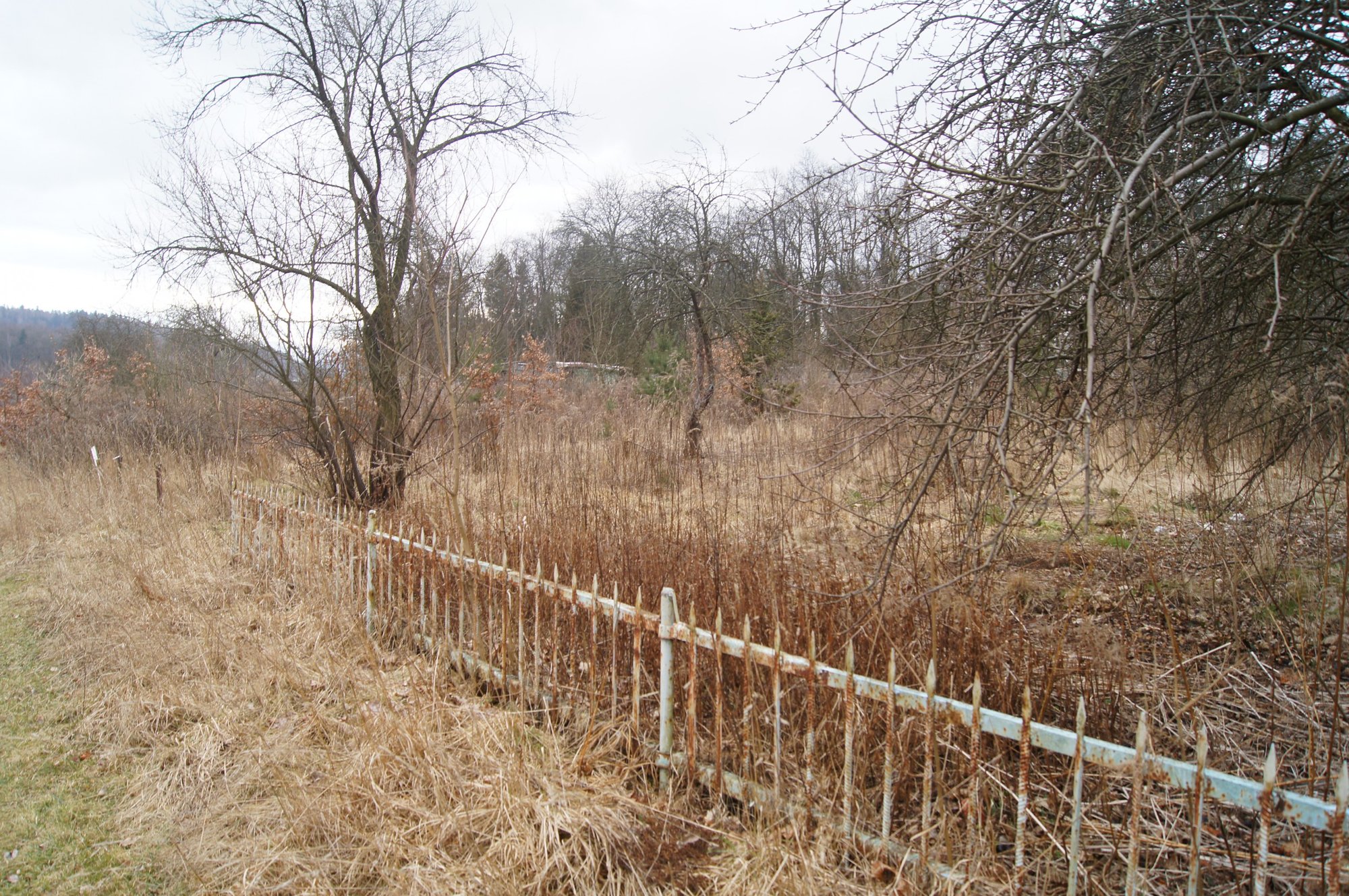 zielone-puca-jeleniej-gory-foto-73709
