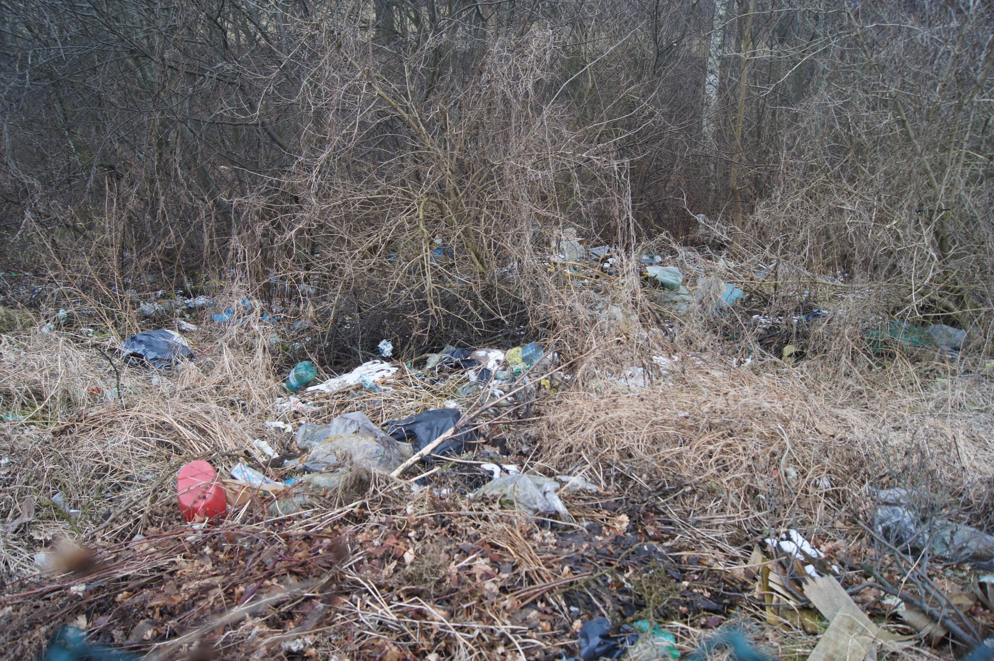 zielone-puca-jeleniej-gory-foto-73709