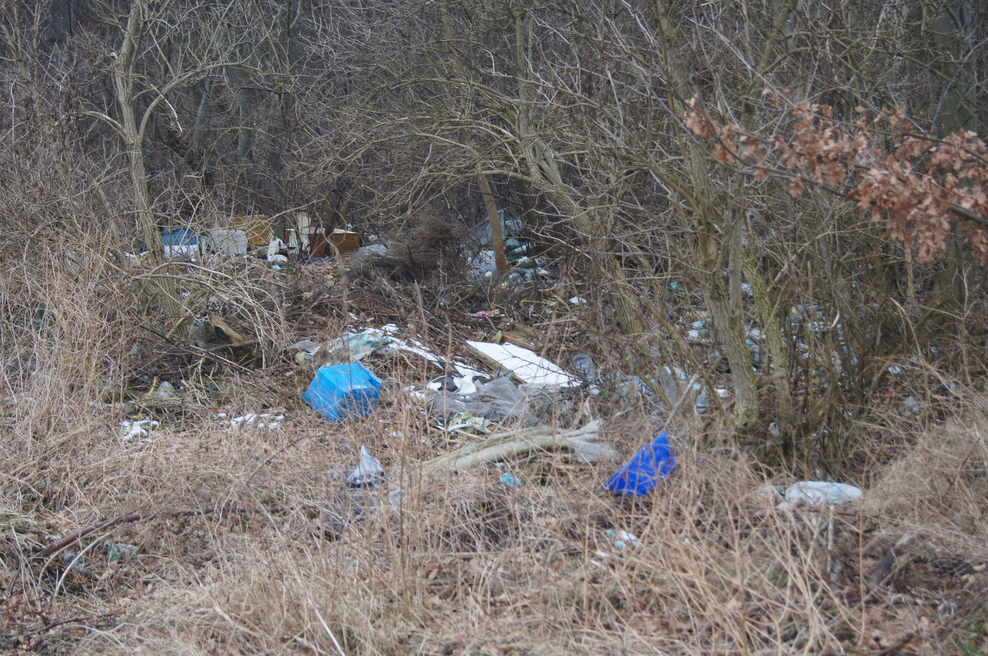 zielone-puca-jeleniej-gory-foto-73709