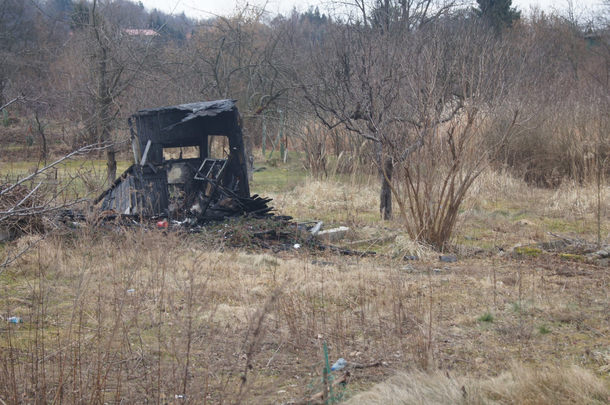 zielone-puca-jeleniej-gory-foto-73709