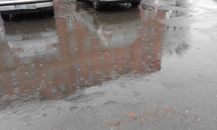 bajoro-na-parkingu-przed-siedziba-mopsu-foto-73739