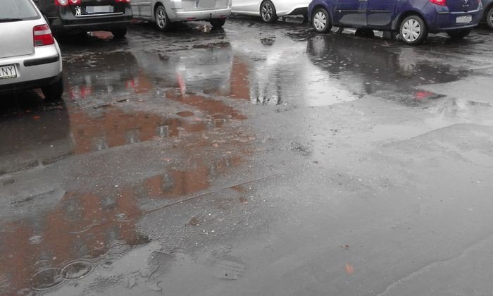 bajoro-na-parkingu-przed-siedziba-mopsu-foto-73739