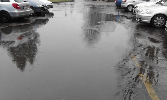 bajoro-na-parkingu-przed-siedziba-mopsu-foto-73739