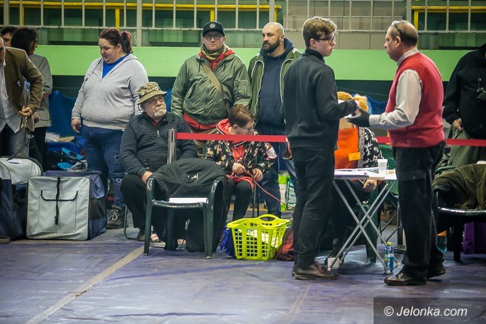 trwa-wystawa-psow-rasowych-foto-73983