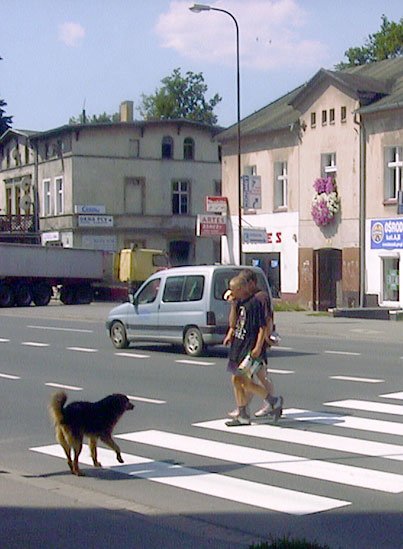 meka-pieszych-w-stolicy-karkonoszy-7404