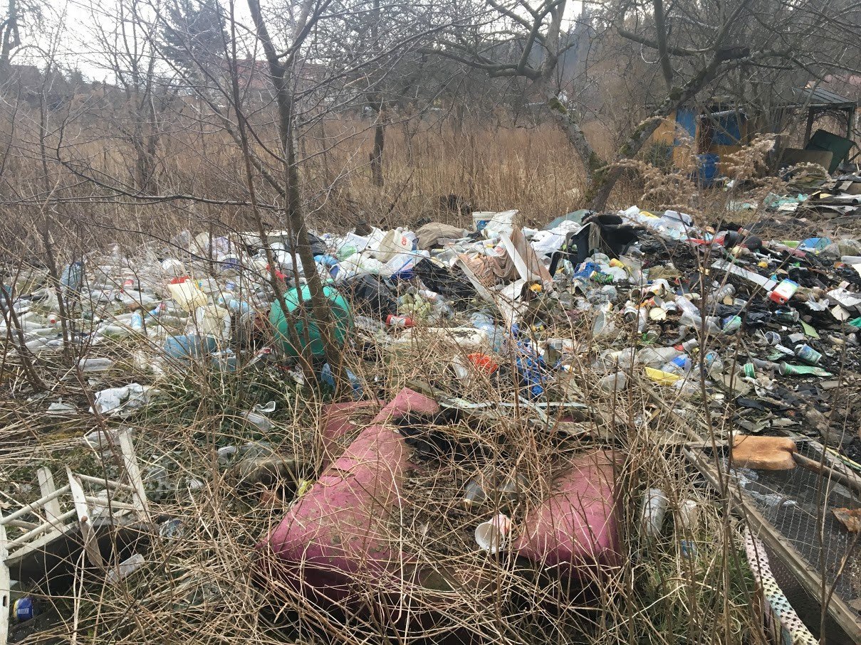bezdomnosc-na-wasne-zyczenie-foto-74092