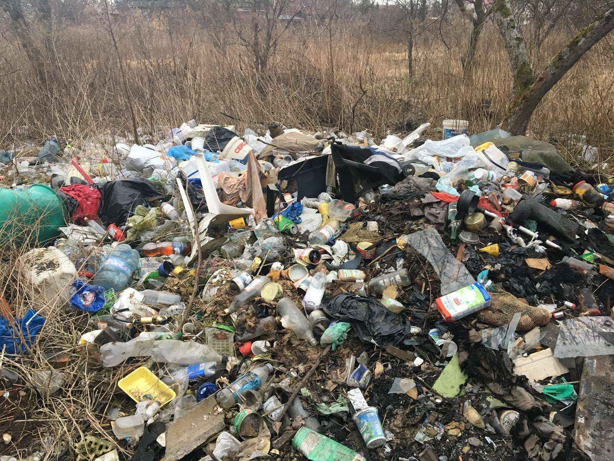 bezdomnosc-na-wasne-zyczenie-foto-74092