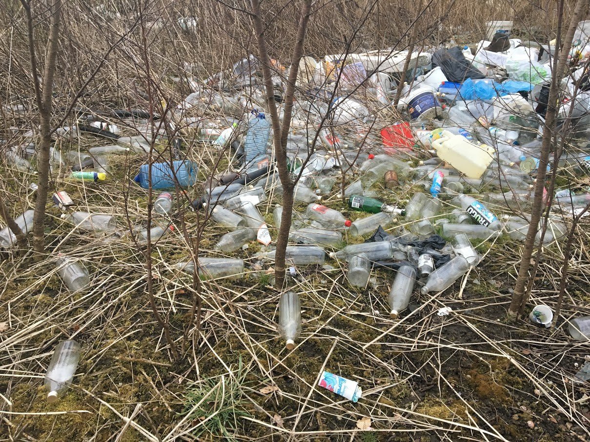 bezdomnosc-na-wasne-zyczenie-foto-74092