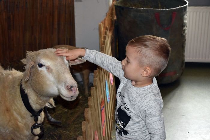 dni-baby-wielkanocnej-na-ludowo-foto-74266