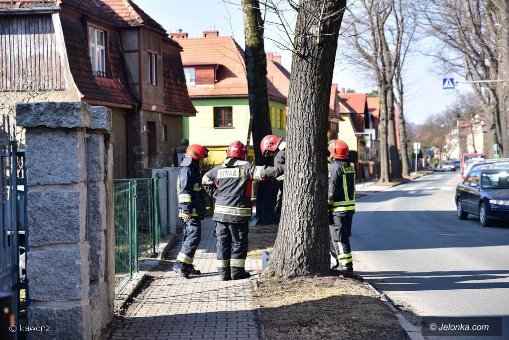 pozar-sadzy-w-budynku-przy-sowackiego-foto-74277