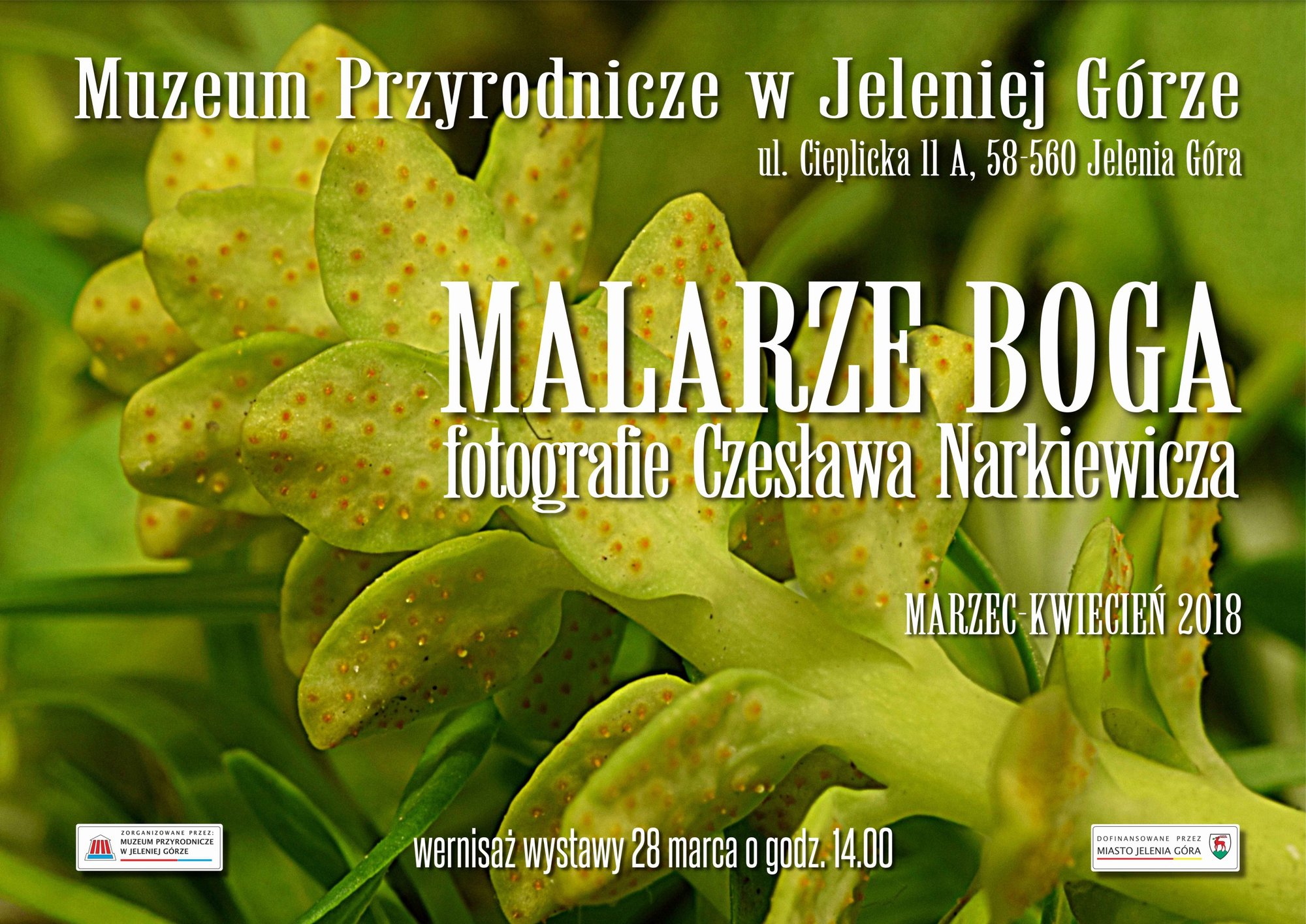 malarze-boga-w-muzeum-przyrodniczym-74291