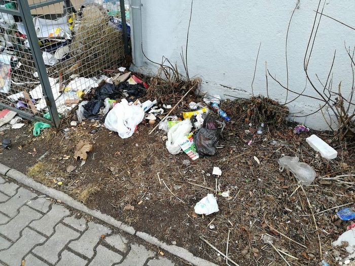czytelniczka-baagan-w-boksie-na-odpady-foto-74334
