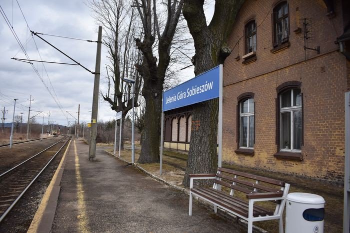 czytelnik-niebezpieczne-drzewa-na-peronie-foto-74392