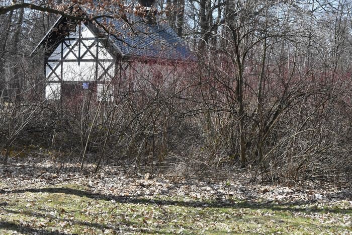 czytelnik-baagan-w-parku-zdrojowym-foto-74433