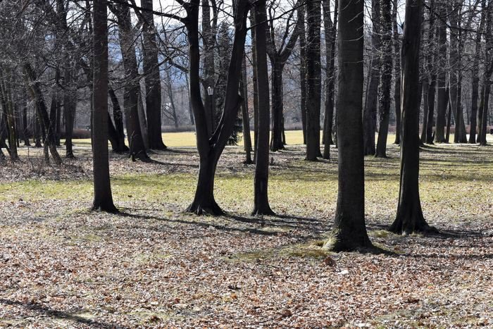 czytelnik-baagan-w-parku-zdrojowym-foto-74433