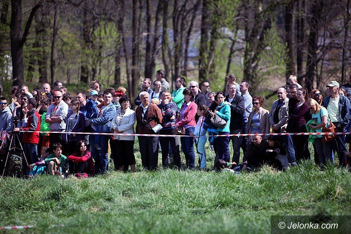 rajd-arado-skromniej-ale-bedzie-foto-74440