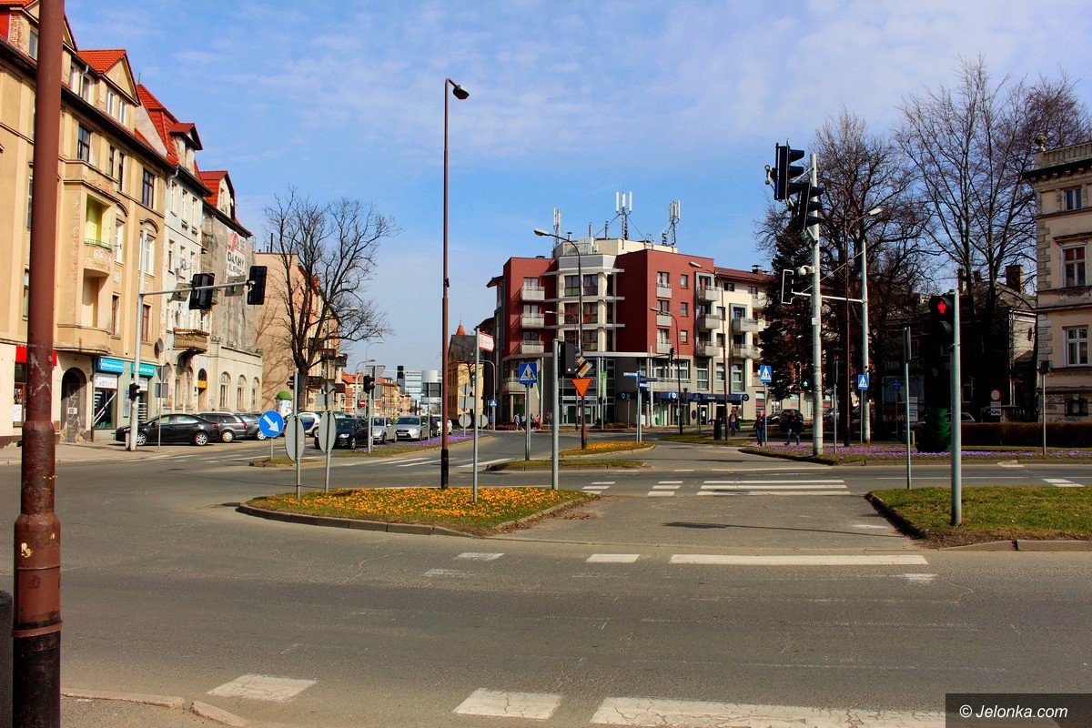 tysiace-kwiatow-ozdobi-jelenia-gore-foto-74448