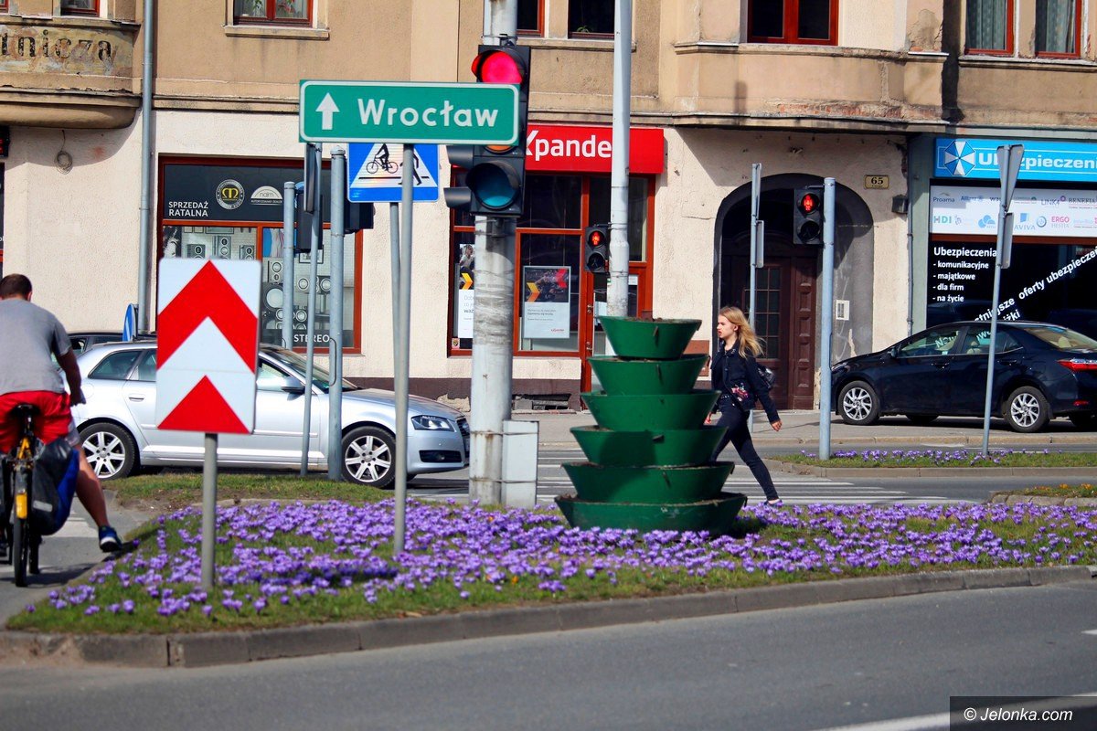 tysiace-kwiatow-ozdobi-jelenia-gore-foto-74448