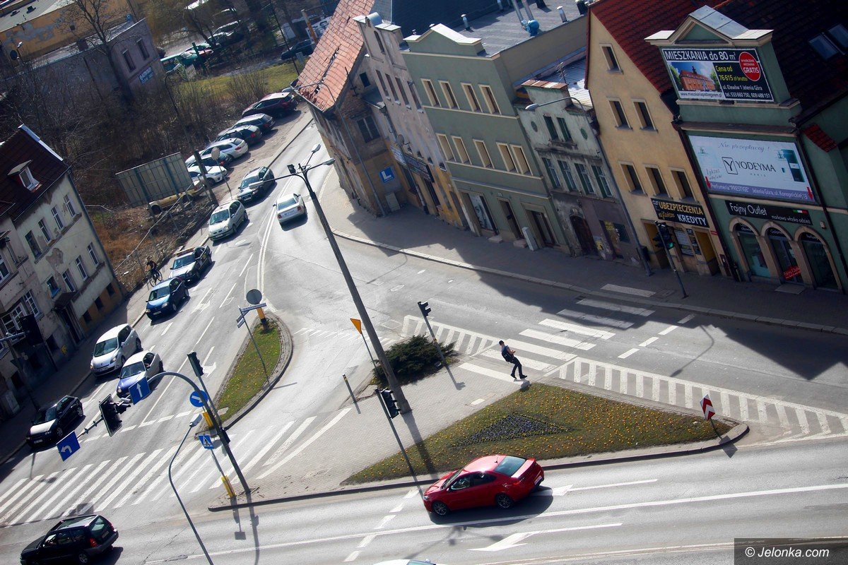 tysiace-kwiatow-ozdobi-jelenia-gore-foto-74448