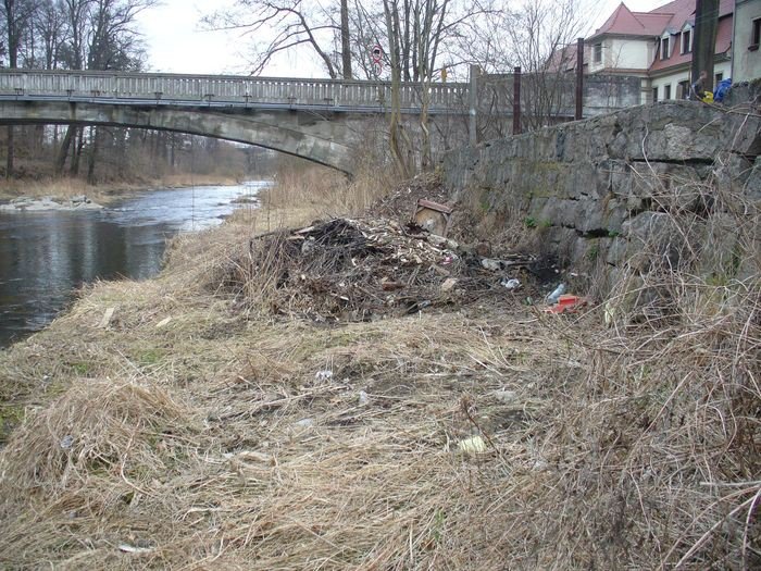 uczniowie-wspieraja-akcje-ratujmy-bobr-foto-74493