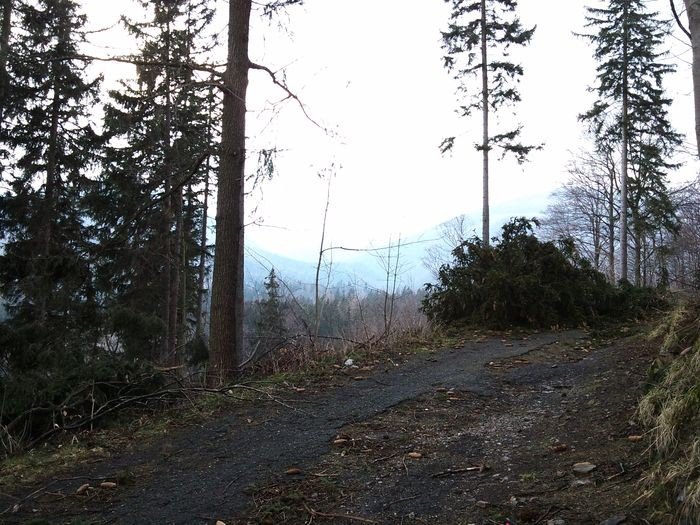 wichura-narobia-szkod-w-karpaczu-foto-74537