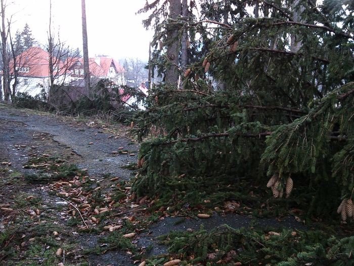 wichura-narobia-szkod-w-karpaczu-foto-74537