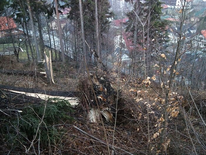 wichura-narobia-szkod-w-karpaczu-foto-74537