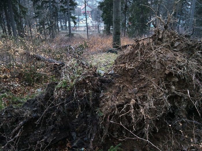 wichura-narobia-szkod-w-karpaczu-foto-74537