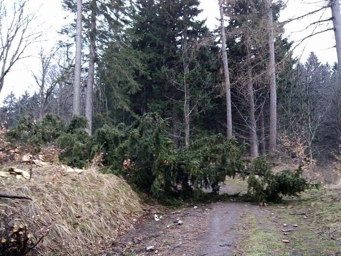 wichura-narobia-szkod-w-karpaczu-foto-74537