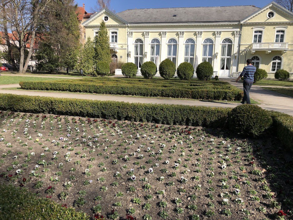 kilkanascie-tysiecy-bratkow-w-parku-zdrojowym-foto-74552