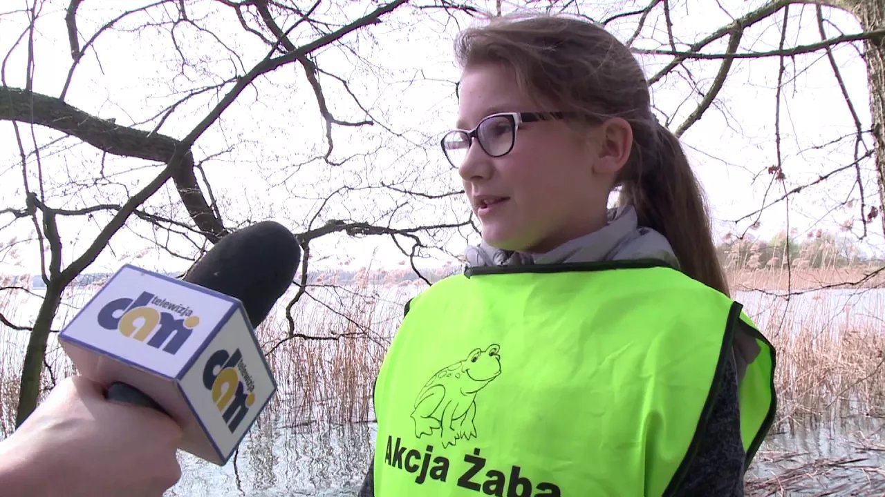 akcja-zaba-video-74609