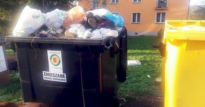 czytelniczka-baagan-w-rejonie-ul-podgorze-foto-74693