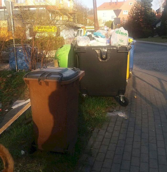 czytelniczka-baagan-w-rejonie-ul-podgorze-foto-74693