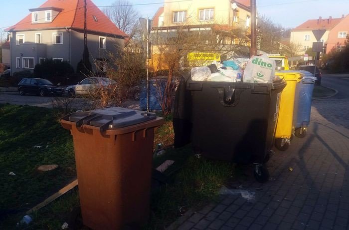 czytelniczka-baagan-w-rejonie-ul-podgorze-foto-74693