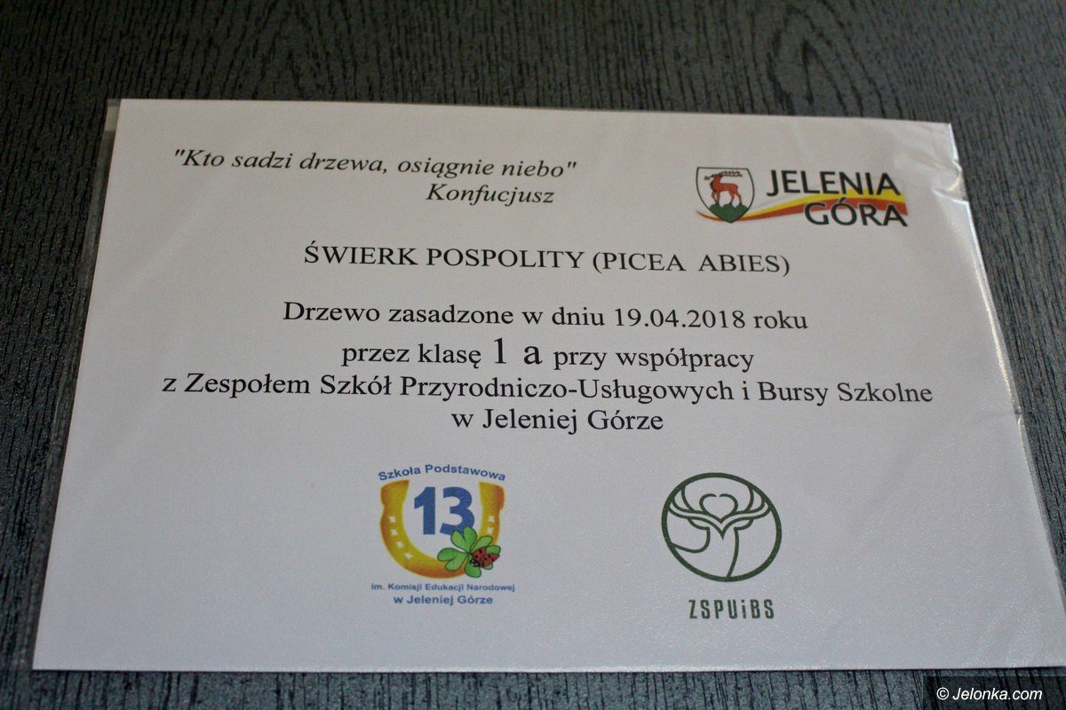ekologiczna-wspopraca-dzieci-i-modziezy-foto-74723