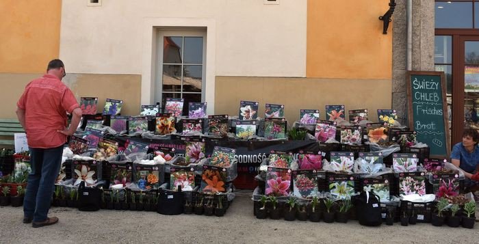 wiosenny-kiermasz-w-omnickim-paacu-foto-74758