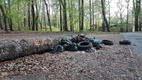 czytelniczka-brak-sow-foto-74762