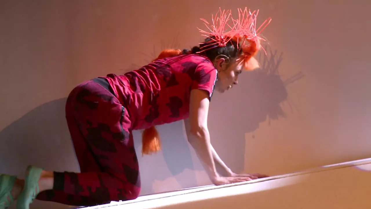 szelmostwa-lisa-witalisa-po-premierze-video-74769