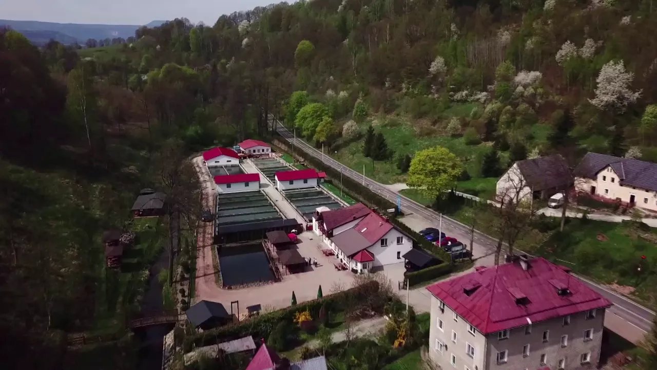 pstragi-wroca-do-szesciu-dolnoslaskich-rzek-video-74805
